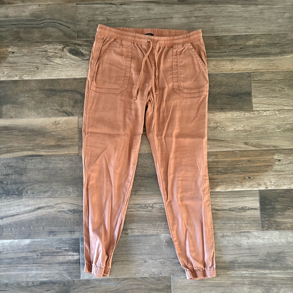 Level 99 women’s Rust Jogger Pants